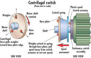 Centrifugal Switch