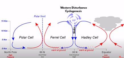 Western Disturbance Cyclogenesis